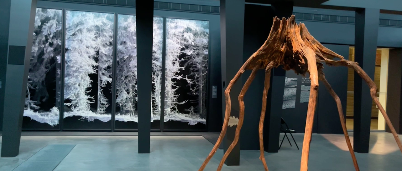 «La Forêt magique» au Palais des Beaux-Arts de Lille jusqu'au 19 septembre