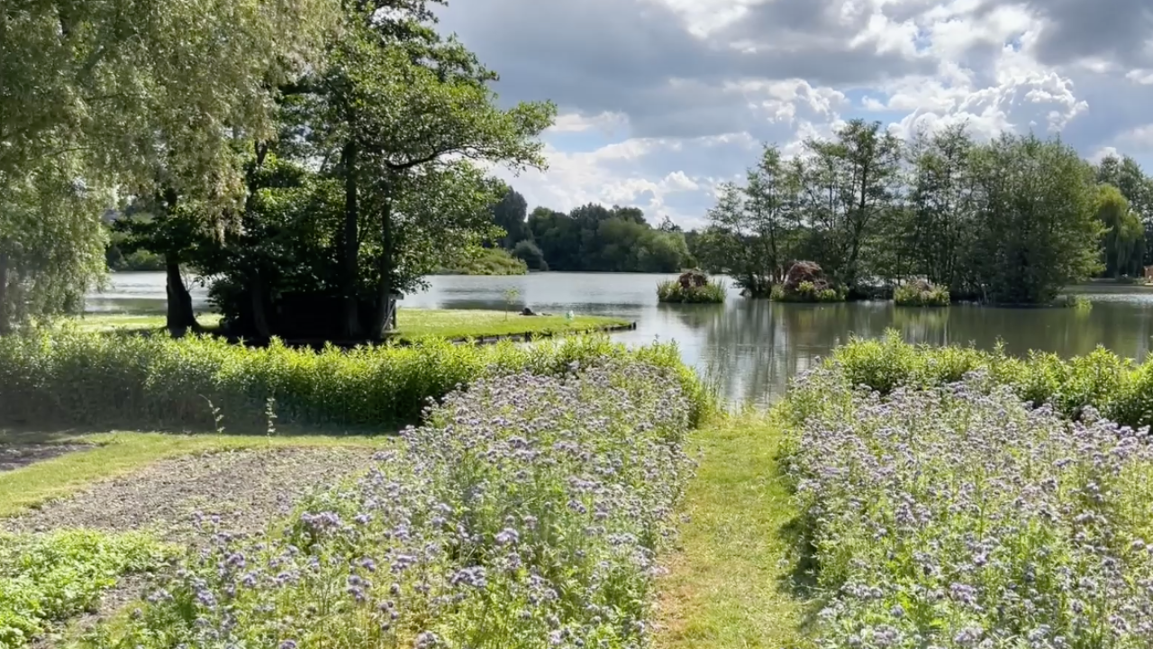 Amiens : 13e édition du Festival international de jardins jusqu'au 16 octobre