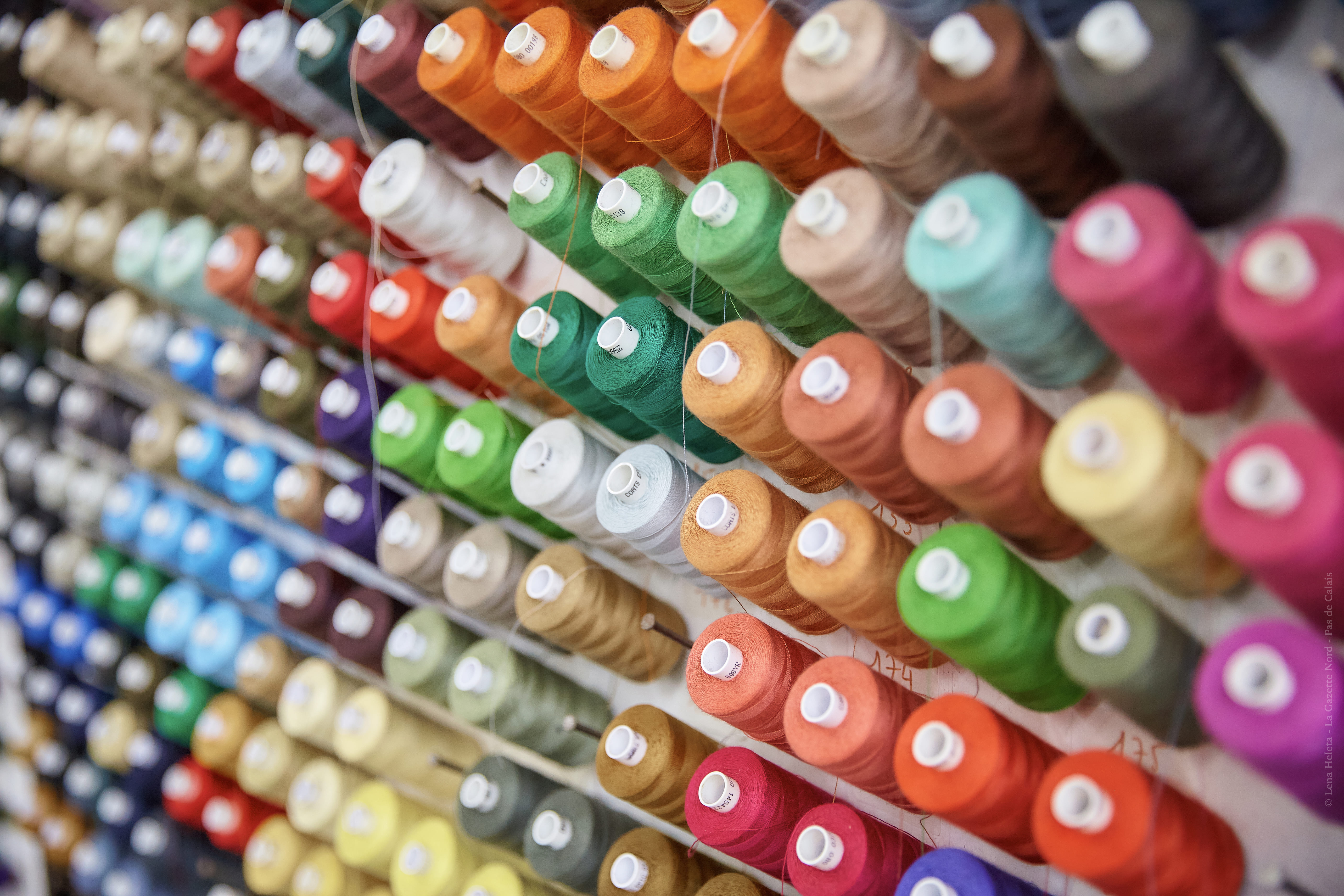 Immersion dans la Maison Lener Cordier