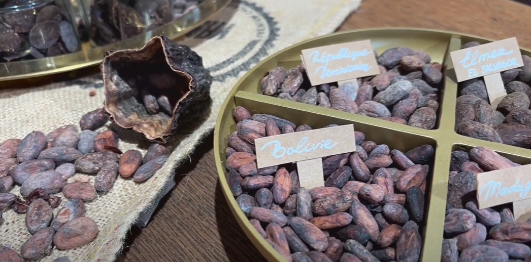 Dans les coulisses de la chocolaterie Encuentro à Lille