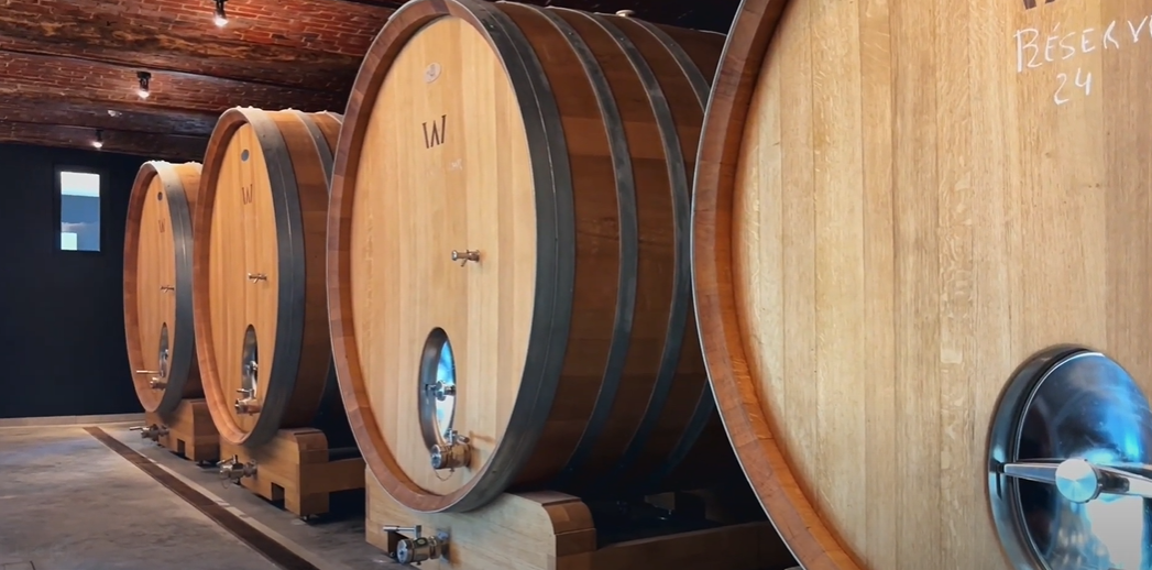 Le Domaine W, un vignoble belge d'exception