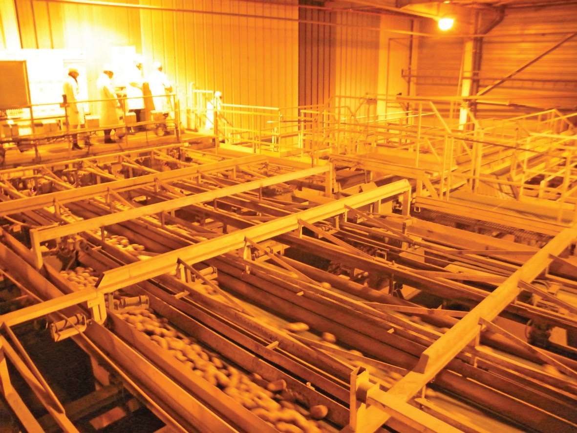 Xavier Bertrand en visite chez McCain