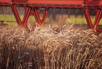 Les céréales, c’est la vie en Picardie
