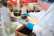 L’entreprise Les Fruits rouges del’Aisne cherche des producteurs