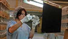 Serdym trie le verre