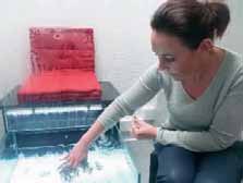 Le Fish spa : une pédicure naturelle et originale