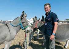 Carton plein pour Plaine en fête