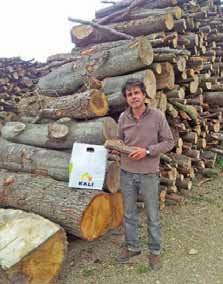 Une bûche pour prendre soin de l’environnement