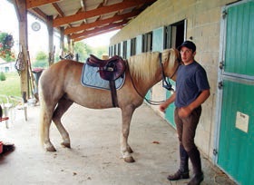 La filière équestre en péril