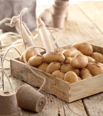 Savoir-faire & communication autour de la Pompadour