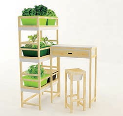 Ekidina, une SCOP au coeur du développement durable