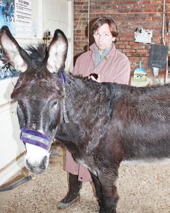Les vétérinaires en colère