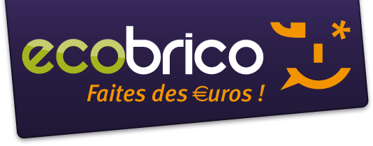 Ecobrico veut percer dans l’occasion de proximité