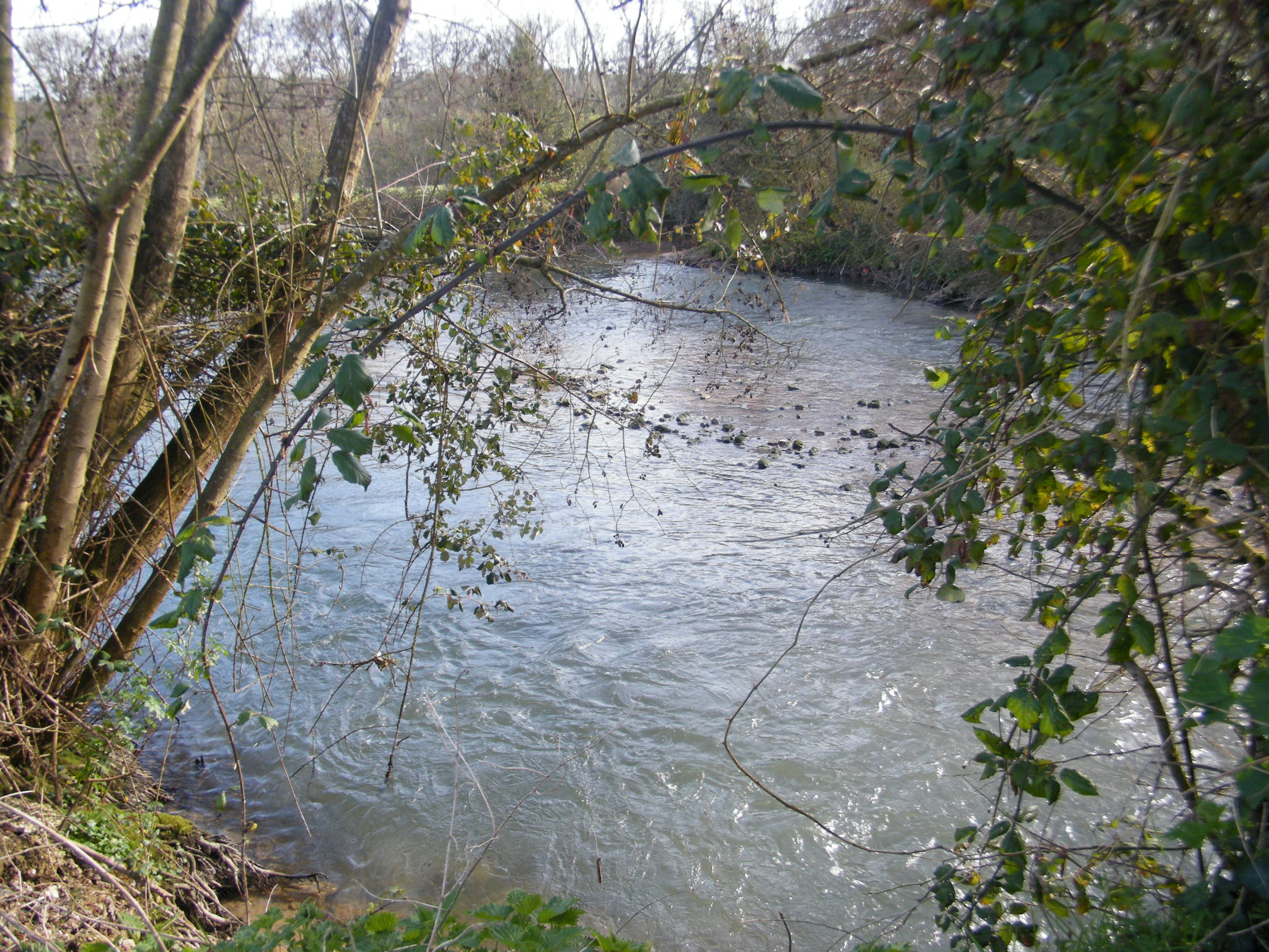 Le PAPI prévient les crues