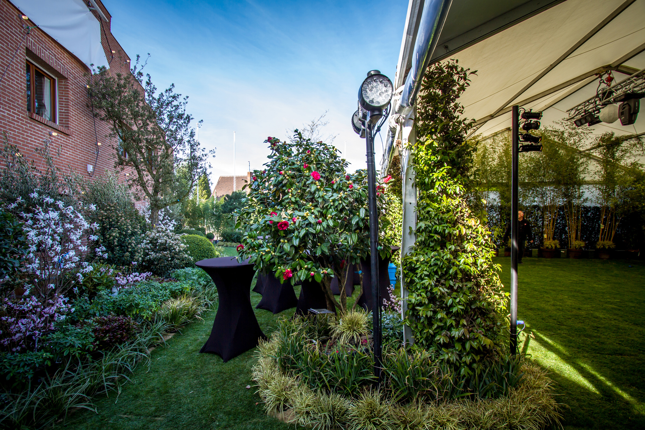 D’apprenti à repreneur : Thomas Loyer donne un nouveau visage à son entreprise