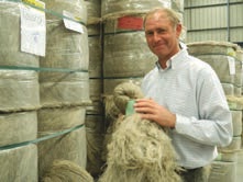 La filière lin tire son épingle du jeu