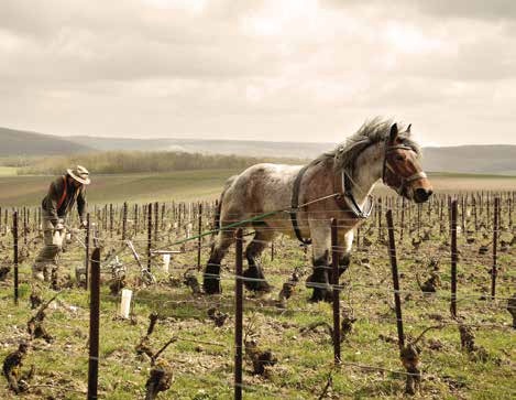 David Rase, son objectif : l'humain !