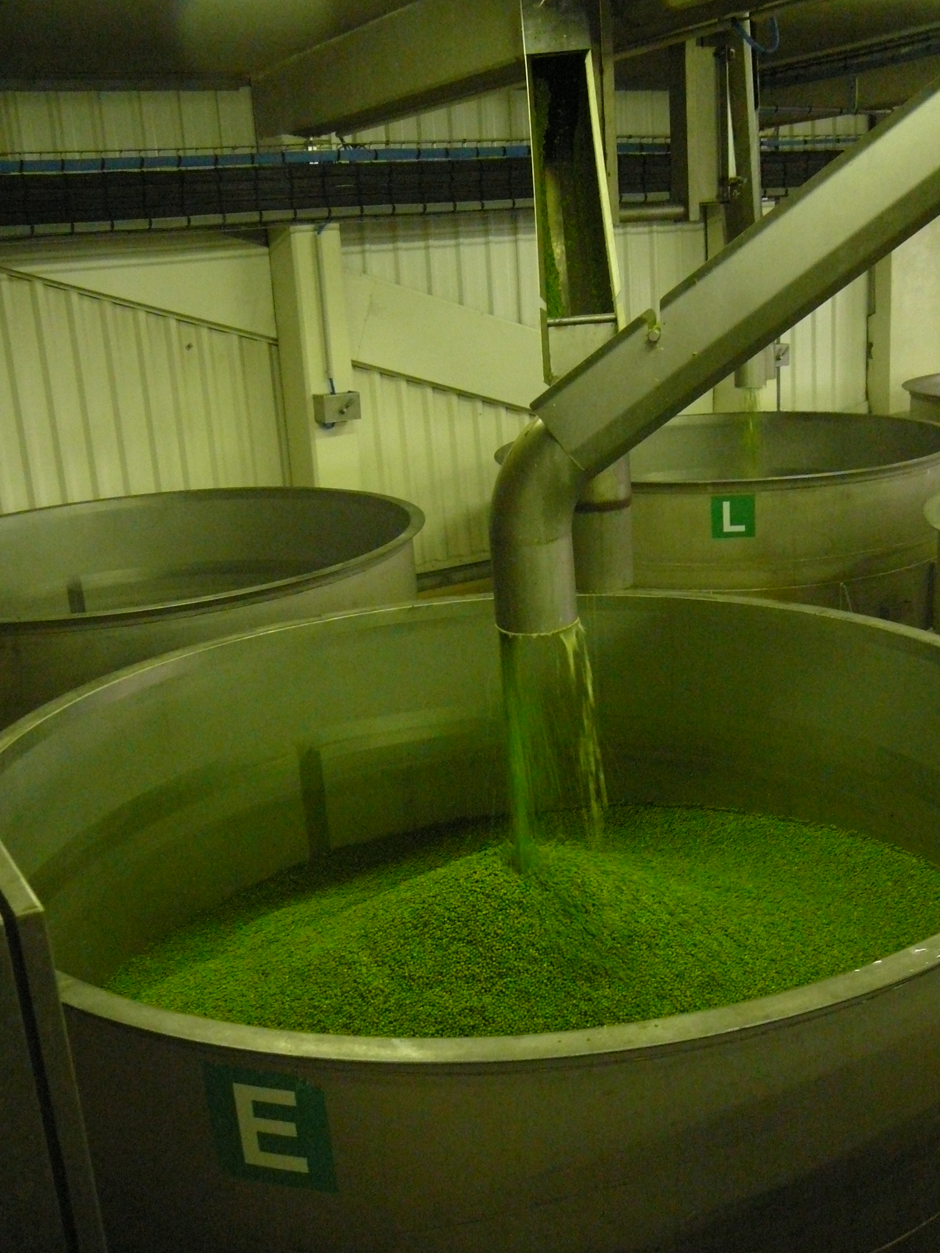 Opportunités dans un contexte aléatoire