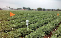 Weenat révolutionne  le quotidien des agriculteurs  