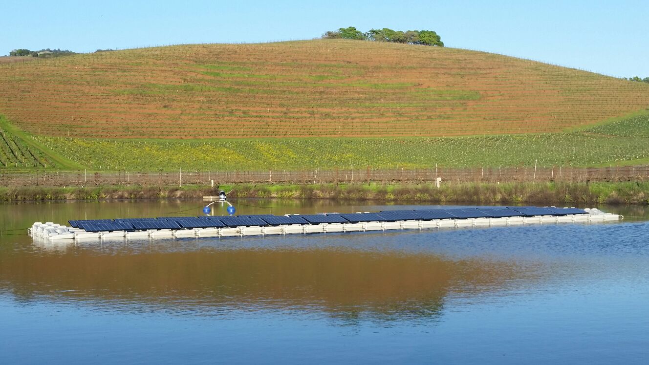 Une diversification distinguée
