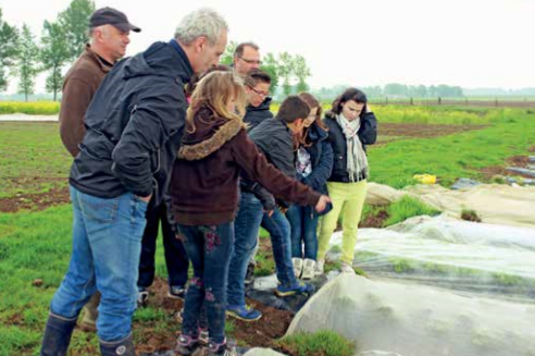 Des cartes postales gourmandes pour illustrer les talents locaux  