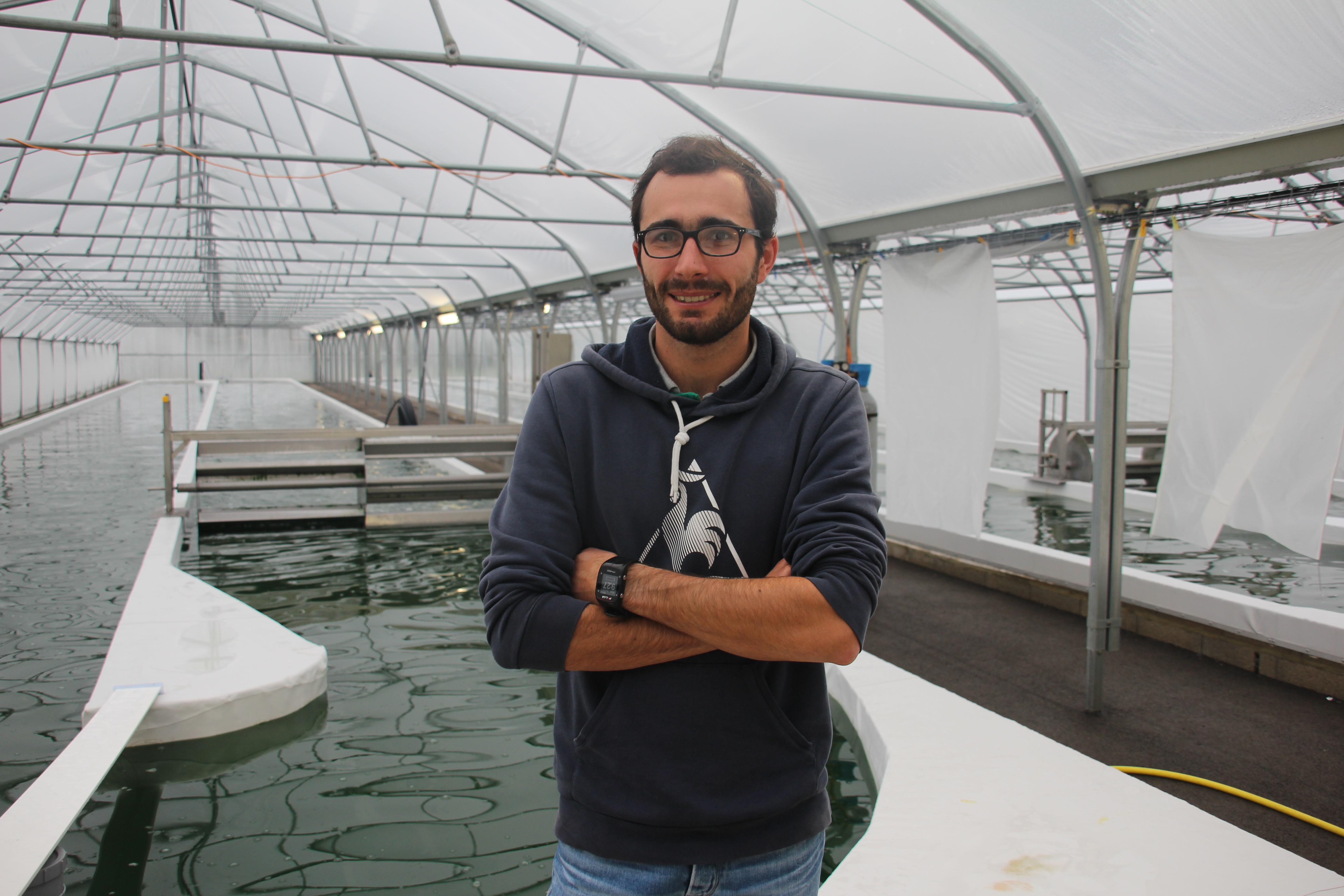 Un marché en pleine expansion