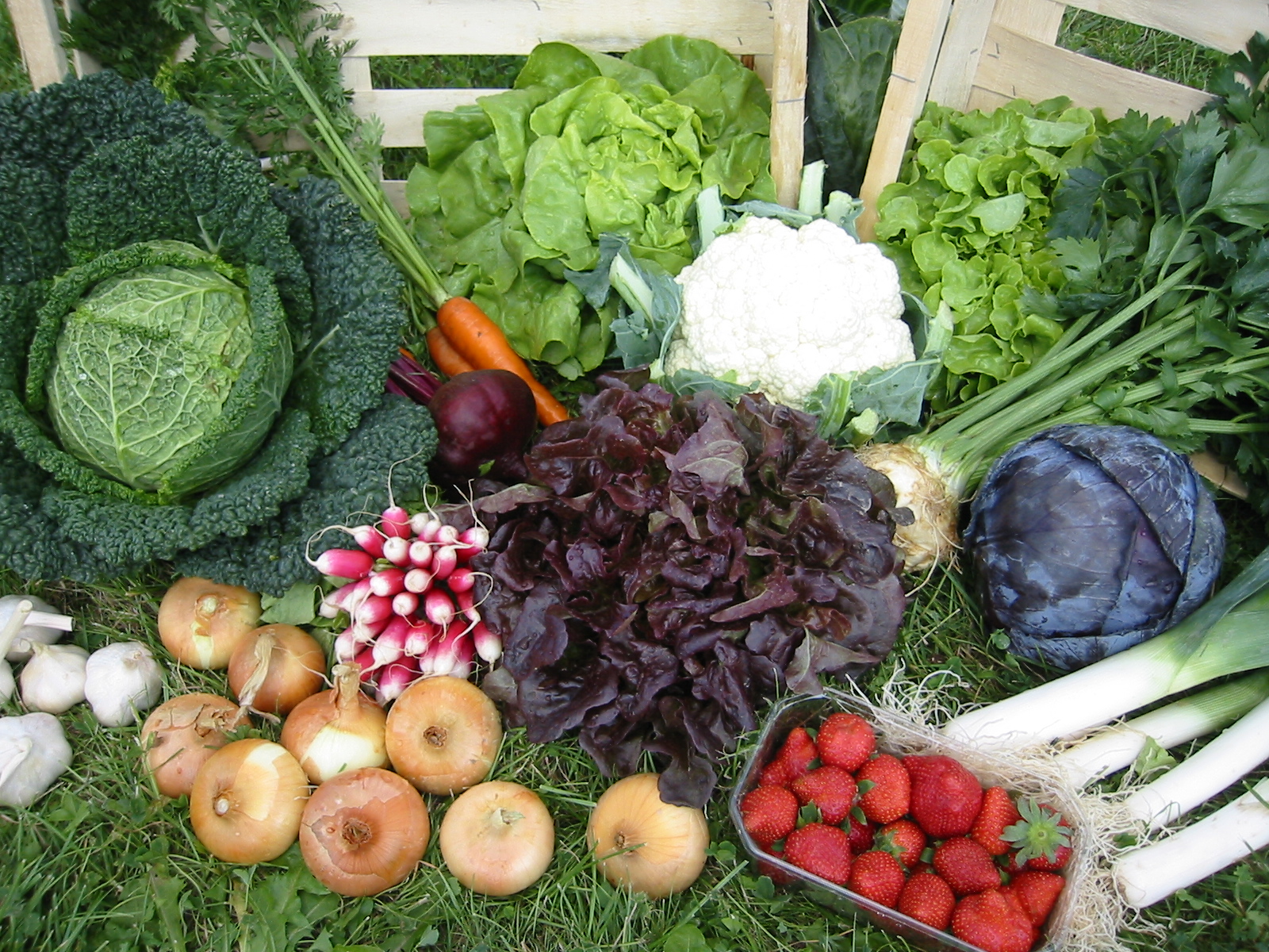 Développement de l’agriculture biologique avec A Pro Bio