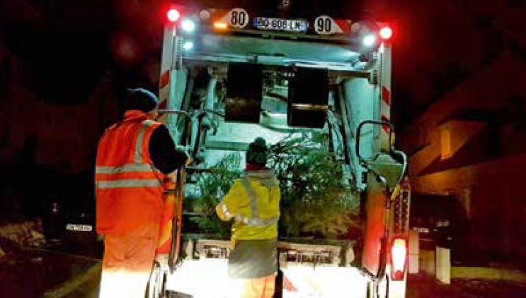 Le sapin, acteur  de l'économie circulaire