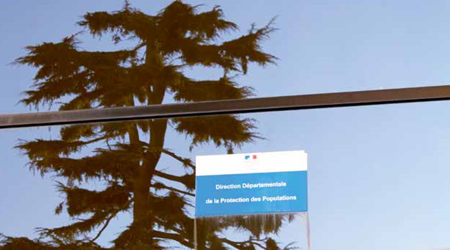 La DDPP protège les consommateurs