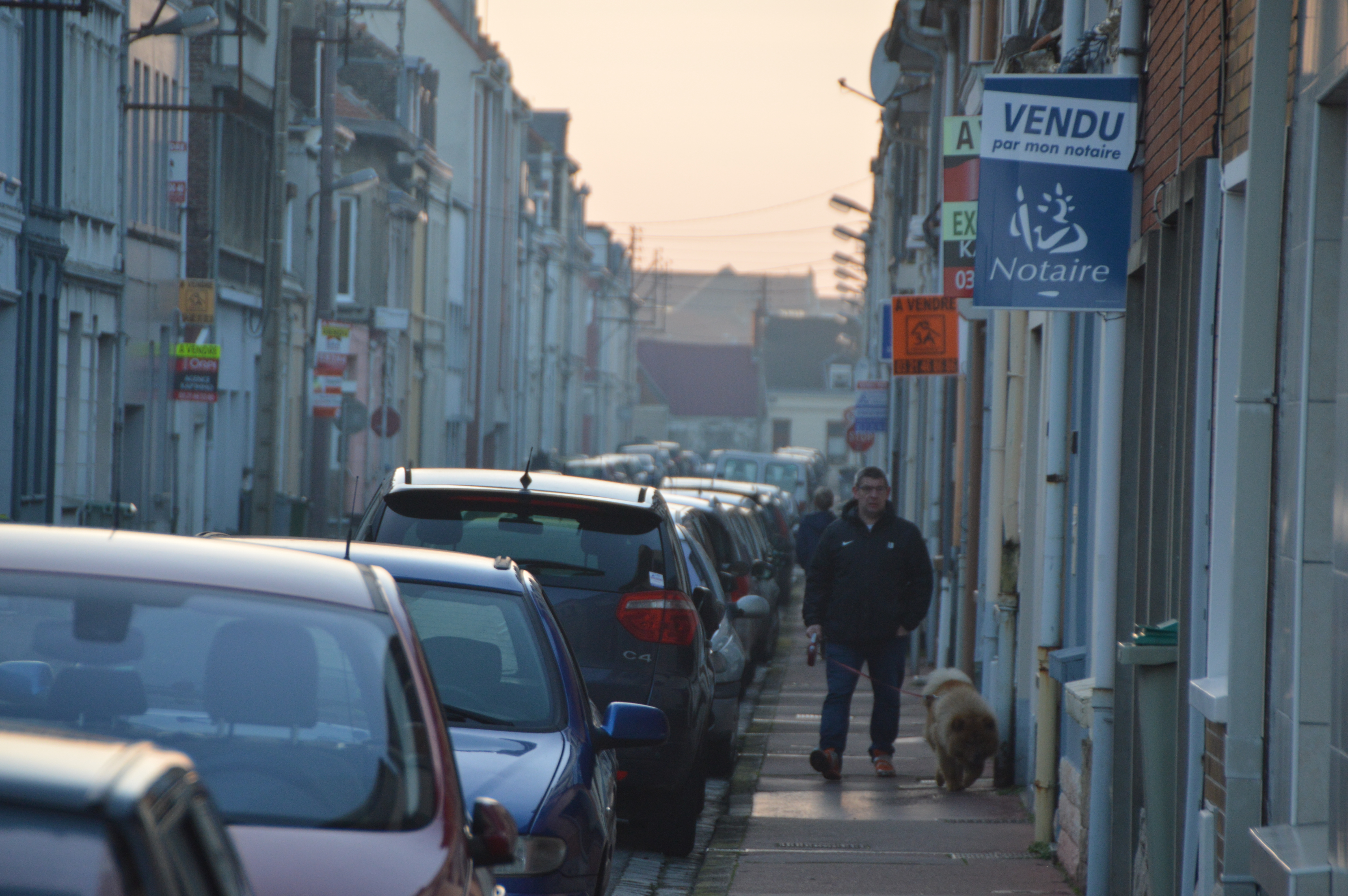 Un très bon cru 2016