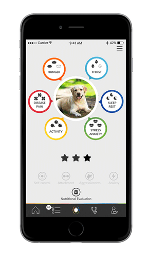 Jagger & Lewis lance la commercialisation de son collier connecté