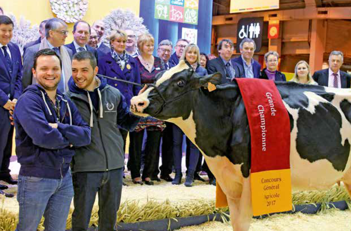 Neuf jours ponctués de récompenses pour la région Hauts-de-France  