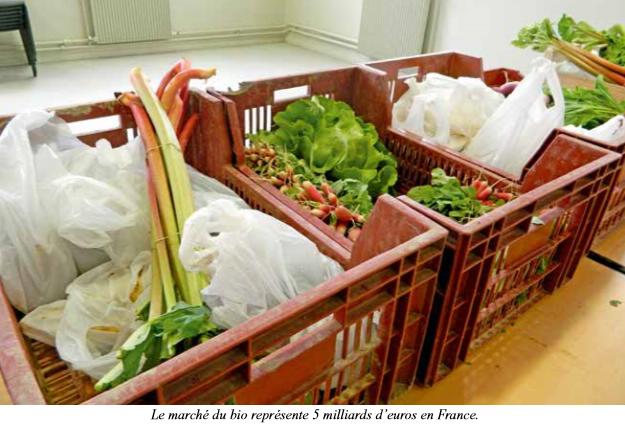 L’agriculture biologique  en pleine croissance