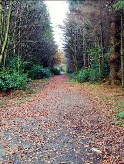 La Fabrique Aviva compte 17 finalistes issus des Hauts-de-France