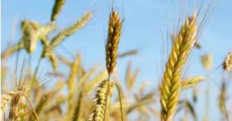 L’agriculture de demain en question à Amiens