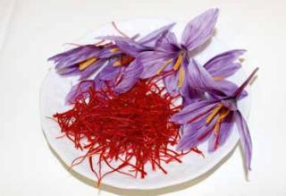 L’or rouge de la baie de somme