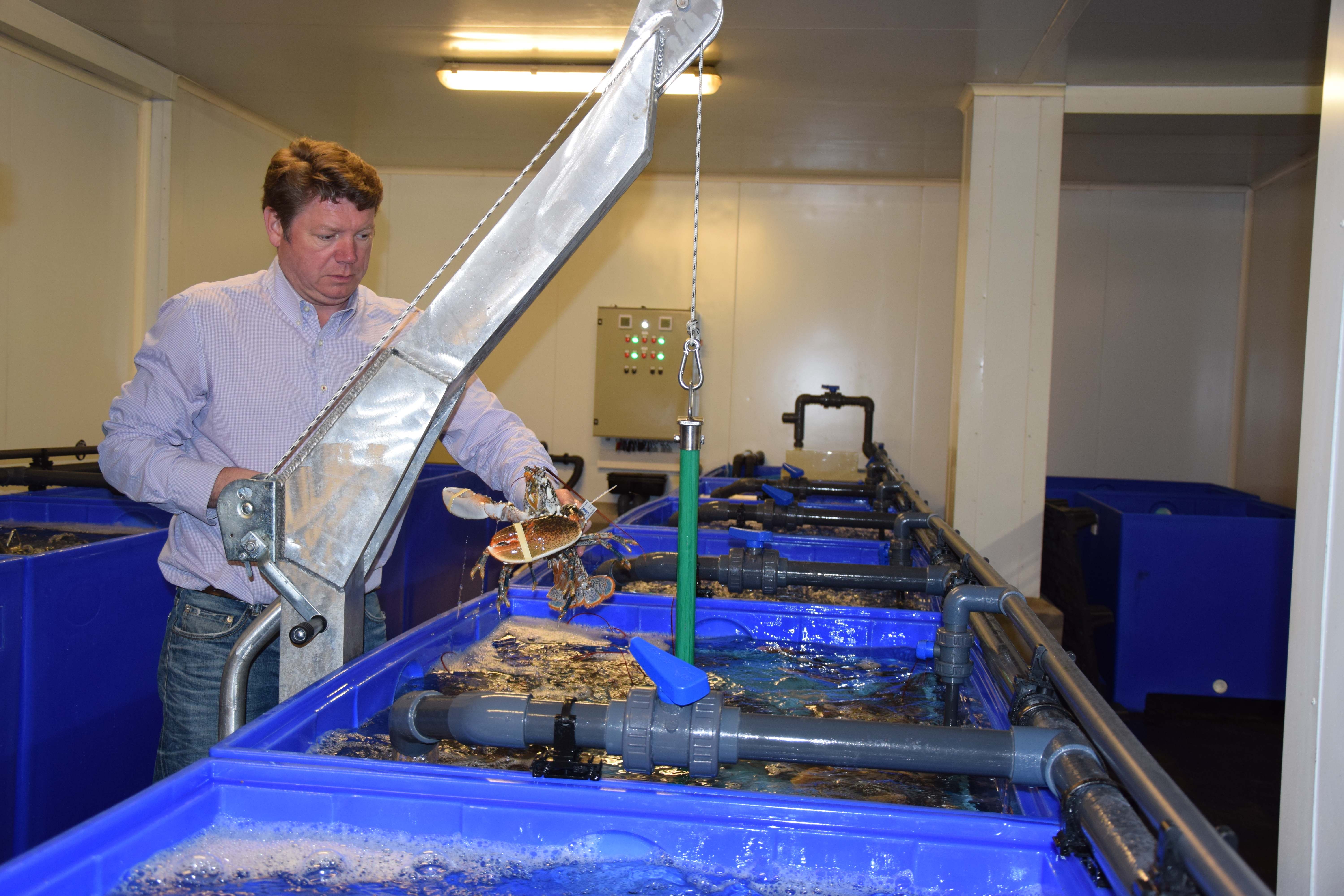 Jérôme Charlet développe Select Opale à Boulogne