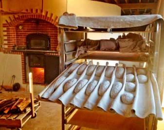 LES PANICULTEURS, ENTRE AGRICULTURE PAYSANNE ET BOULANGERIE ARTISANALE