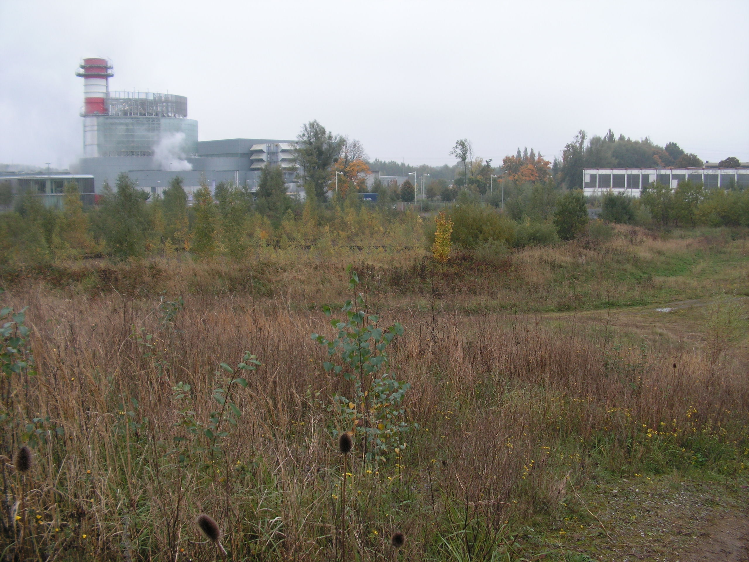 Ferme solaire à Pont-sur-Sambre : le projet est lauréat de la CRE