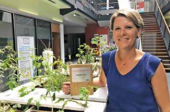 EXPERT RH, PME CRÉATIVE