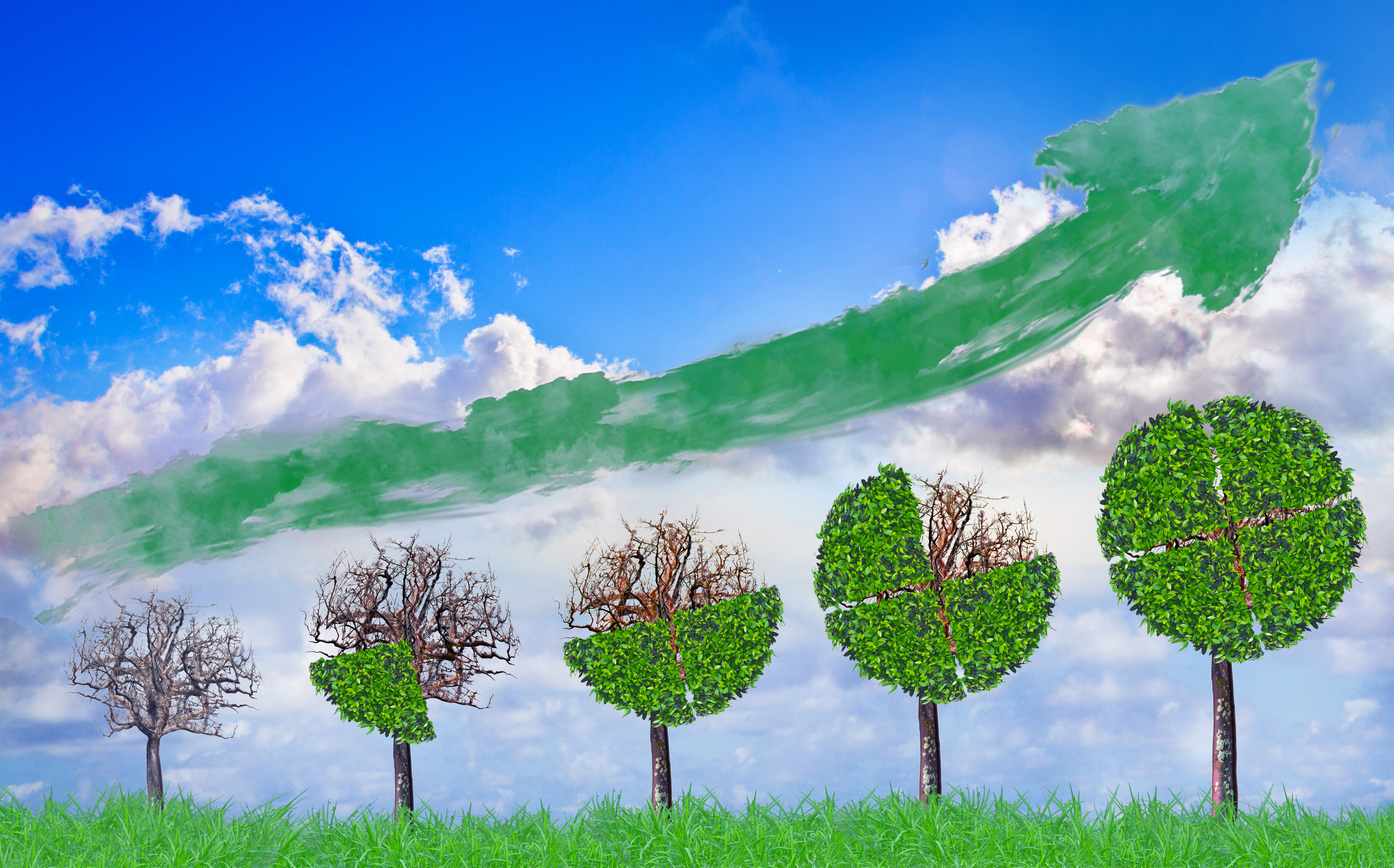 Redonner du pouvoir au local