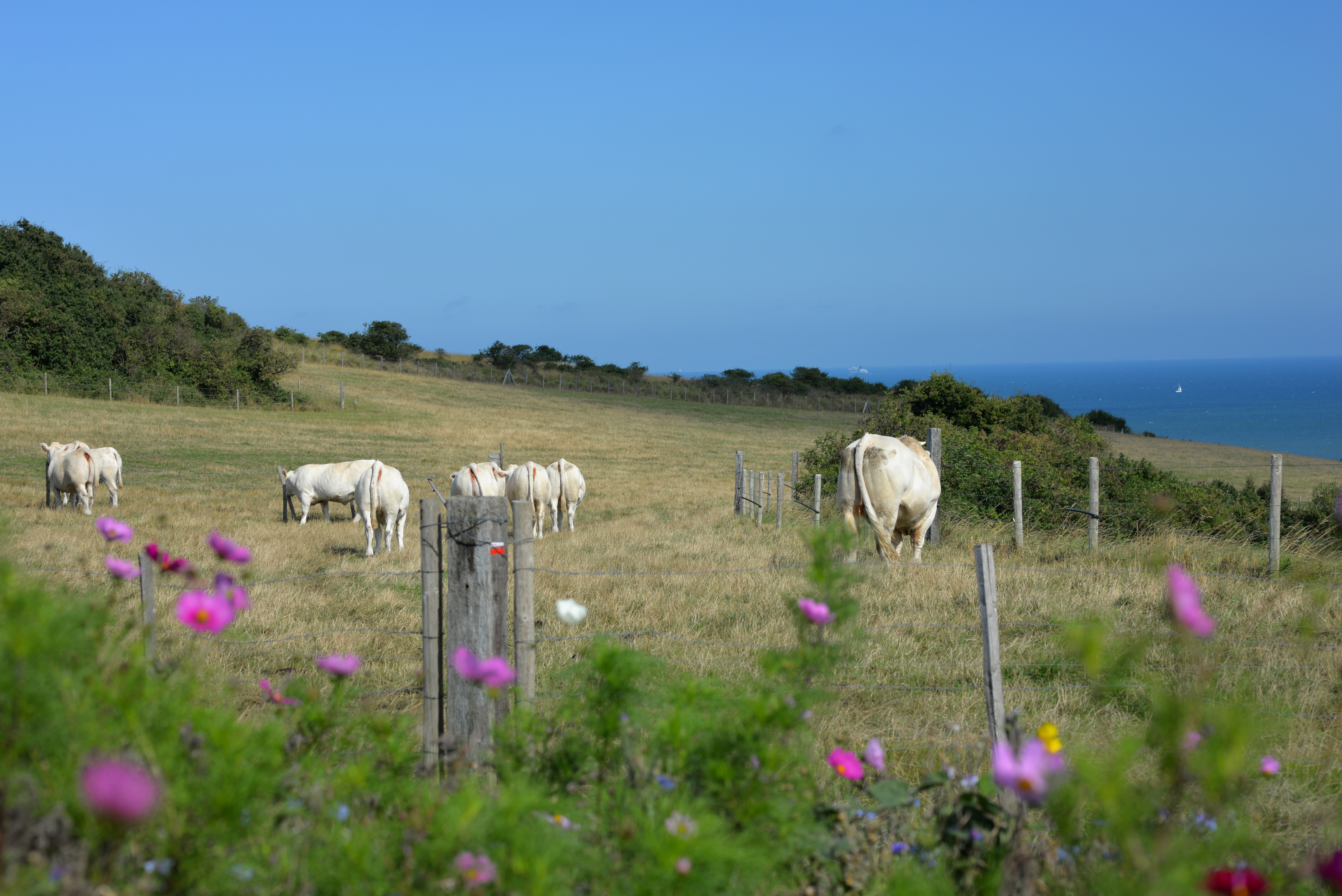 La Région veut plus de labels