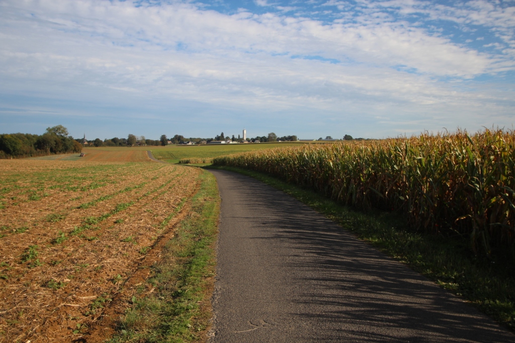 L’agriculture seinomarine paye cher le prix de Lubrizol