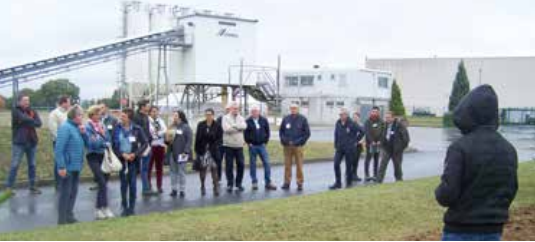 Cemex : et au milieu du béton… poussent des fleurs !