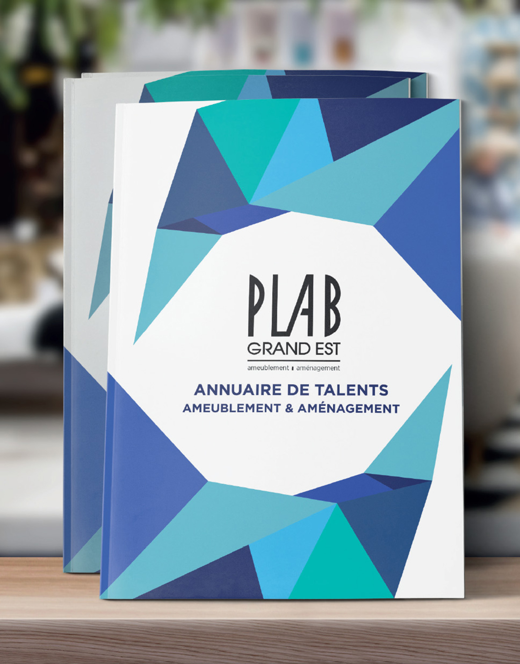 Plab Grand Est:  Annuaire de talents