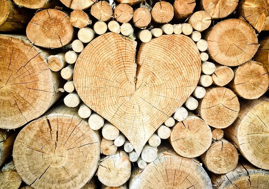 Janès Timber  :  Un savoir-faire transmis de génération en génération