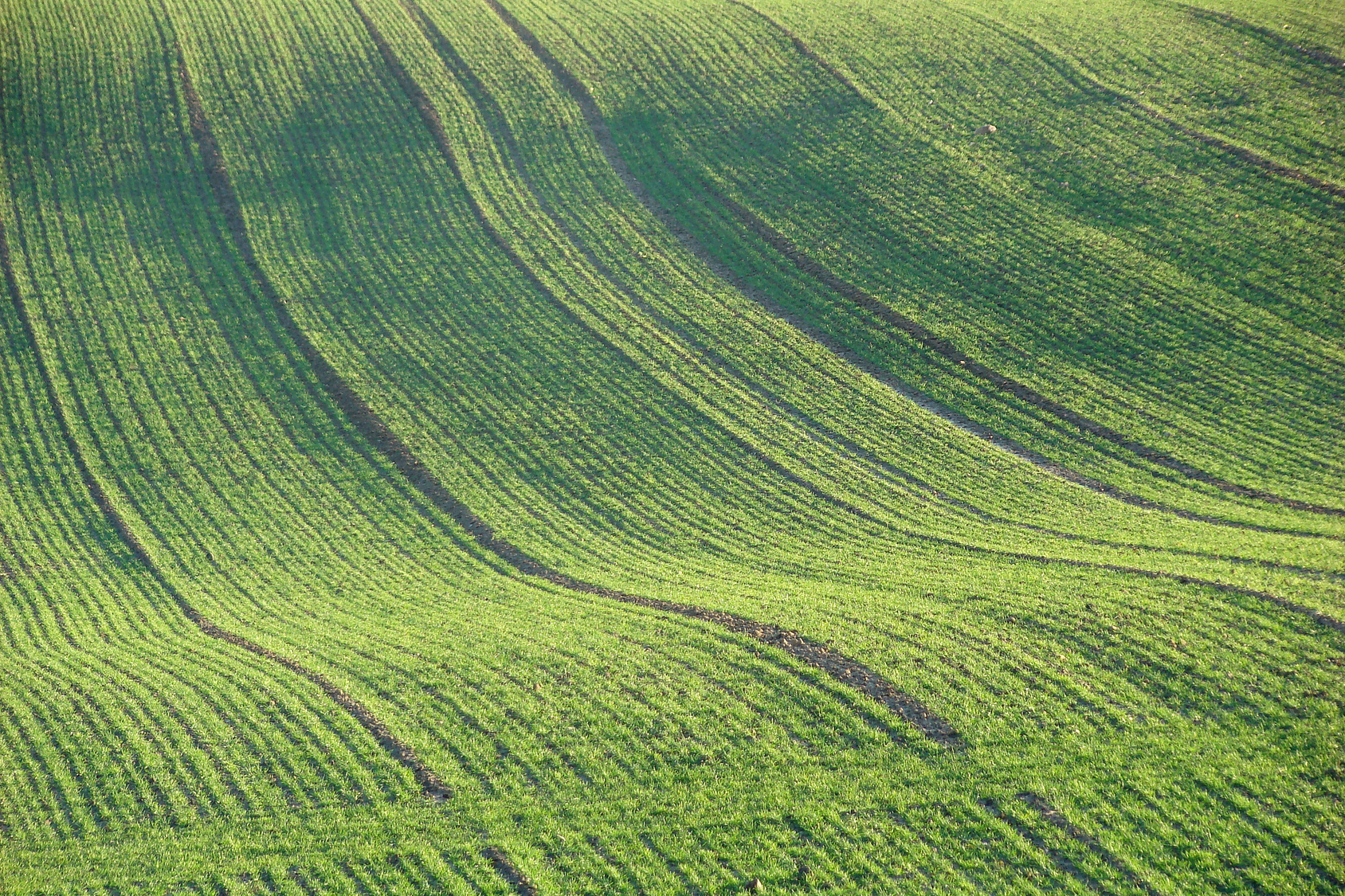 Dans l'Oise, les jardineries restent ouvertes pour les professionnels