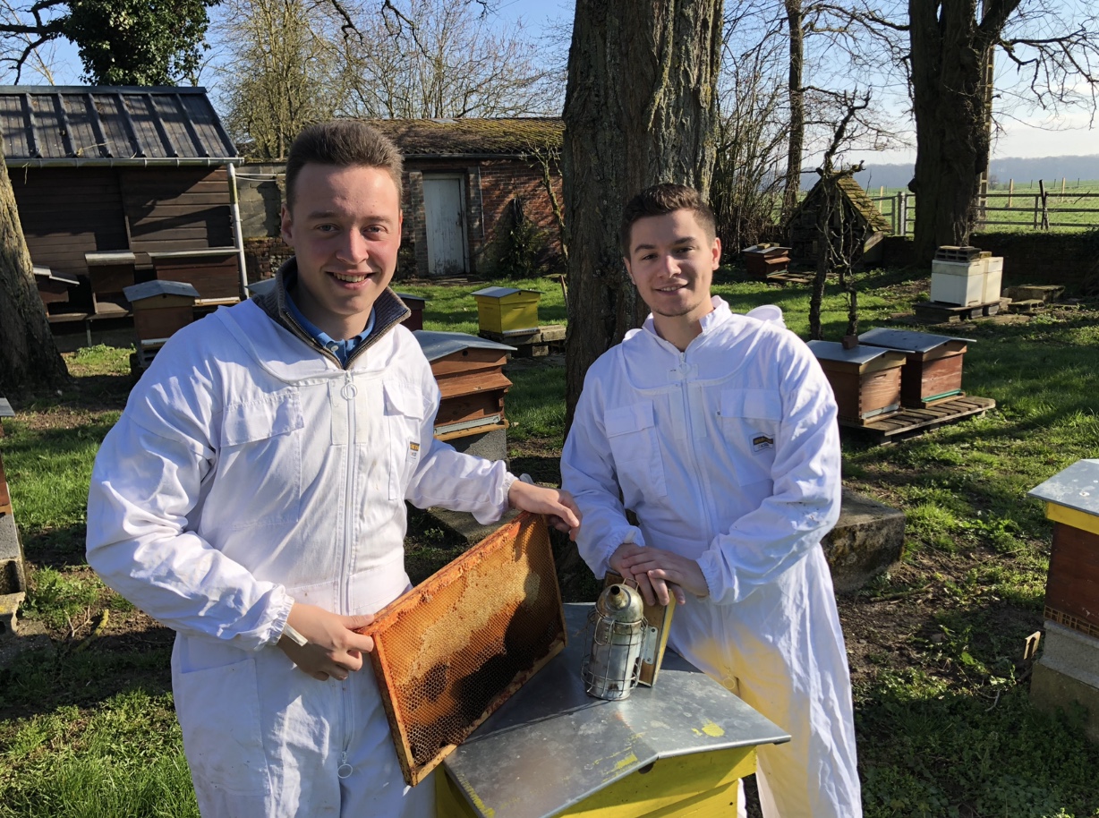 BtoBees installe des ruches chez les professionnels