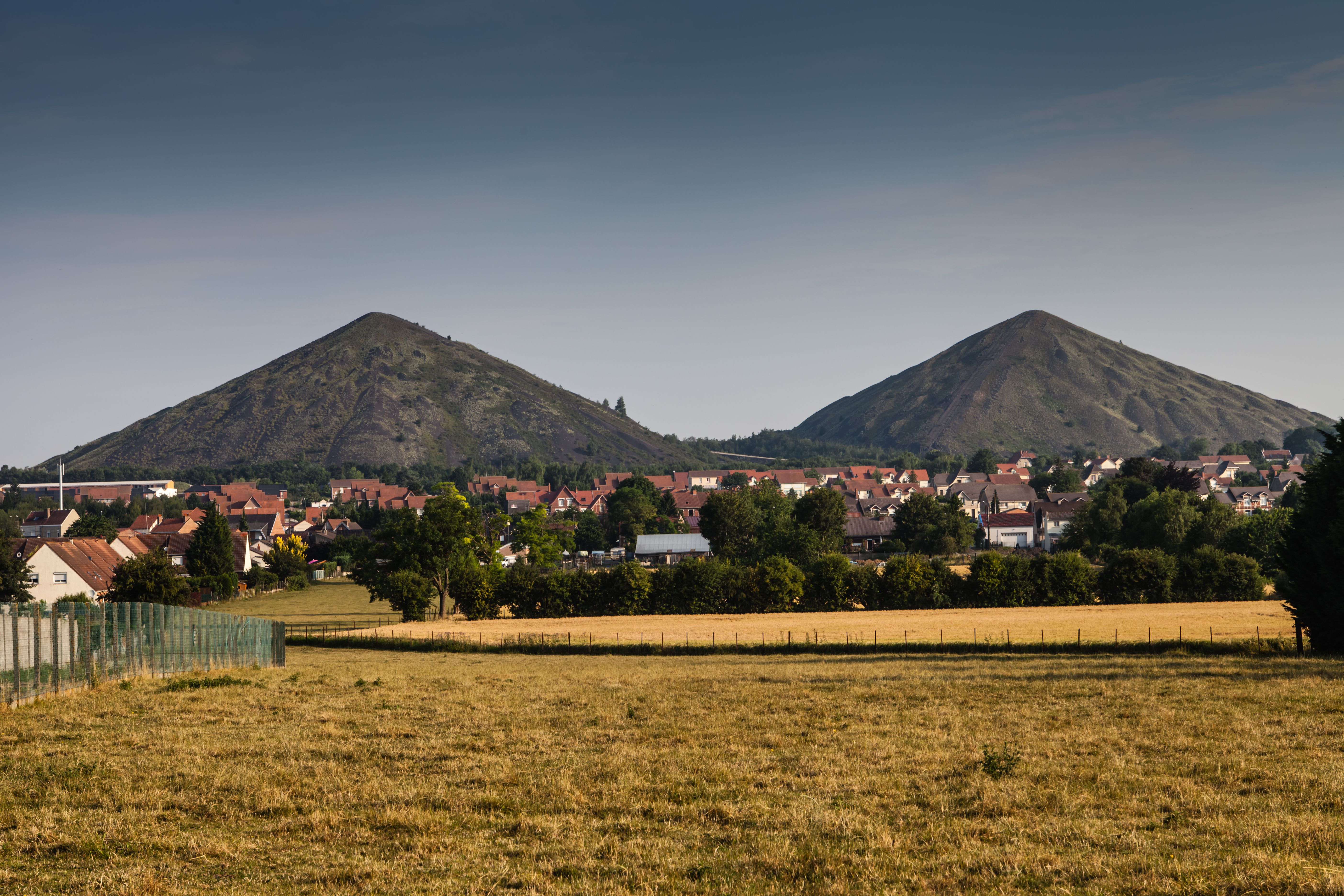Les territoires se mobilisent pour accompagner la reprise économique
