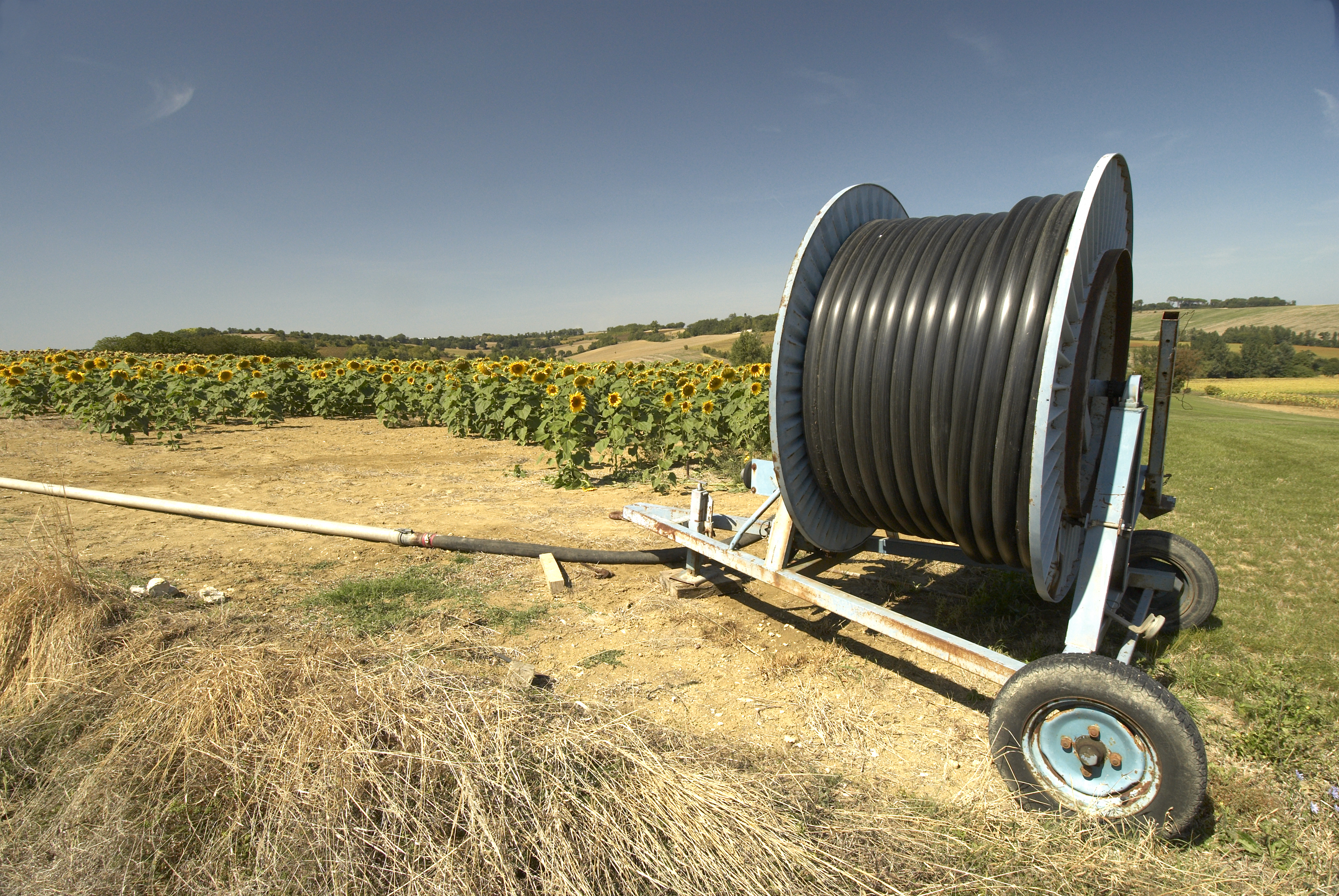 La pandémie impose une mue radicale de l'économie